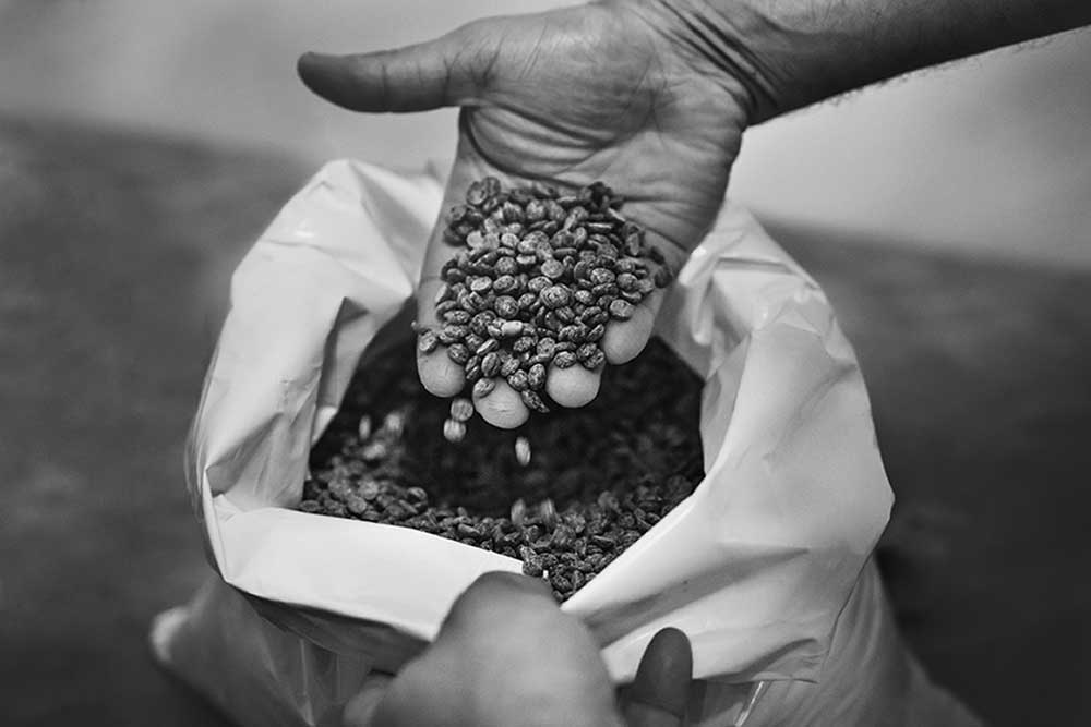 La filosofia EtnaDolce - materie prime selezionate