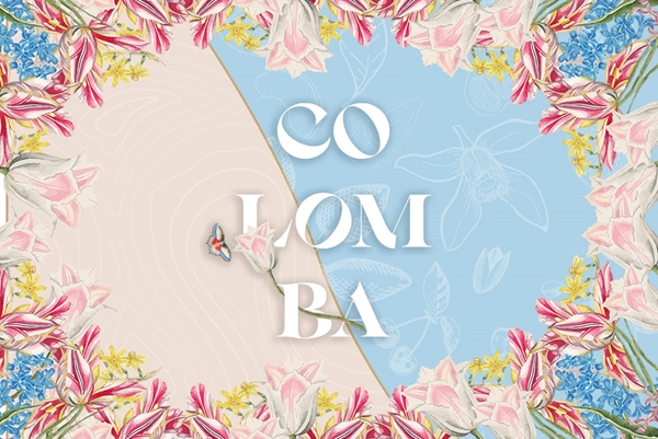 Immagine per la categoria COLOMBE